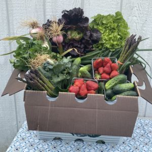 large harvest variety box