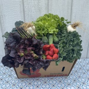 small harvest variety box