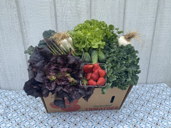 small harvest variety box